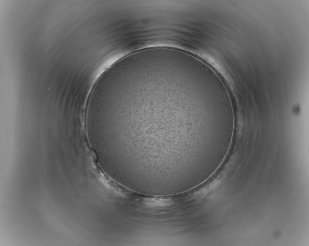 X0000090491145200707272335