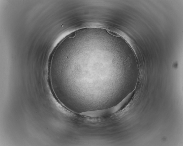 X0000090491147200707272335