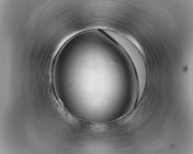 X0000090491148200707272335