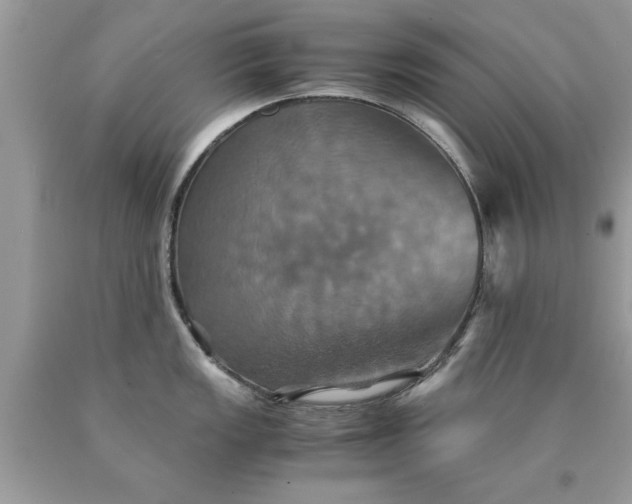 X0000090491149200707272335