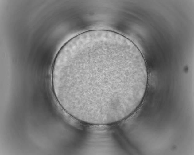 X0000090491150200707272335