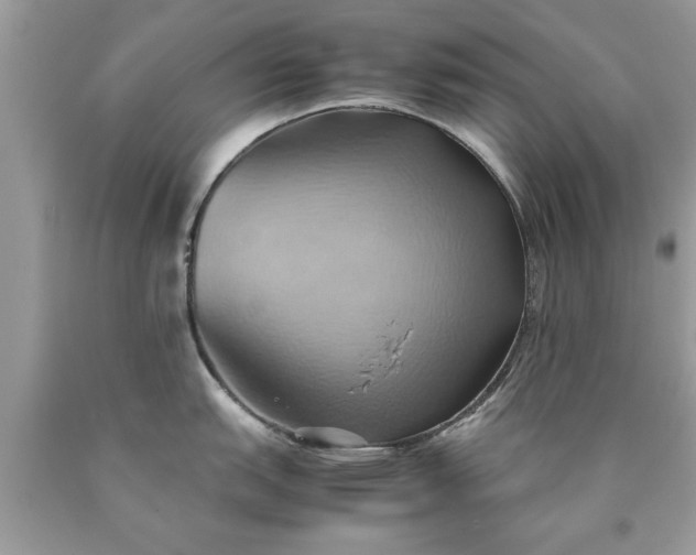 X0000090491151200707272335