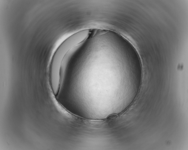 X0000090491152200707272335