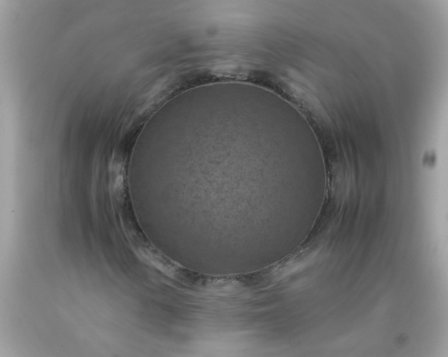X0000090491154200707272334