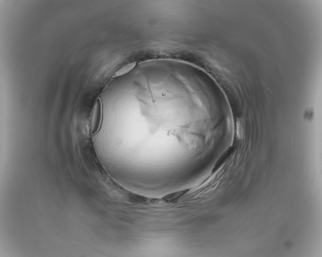 X0000090491155200707272334