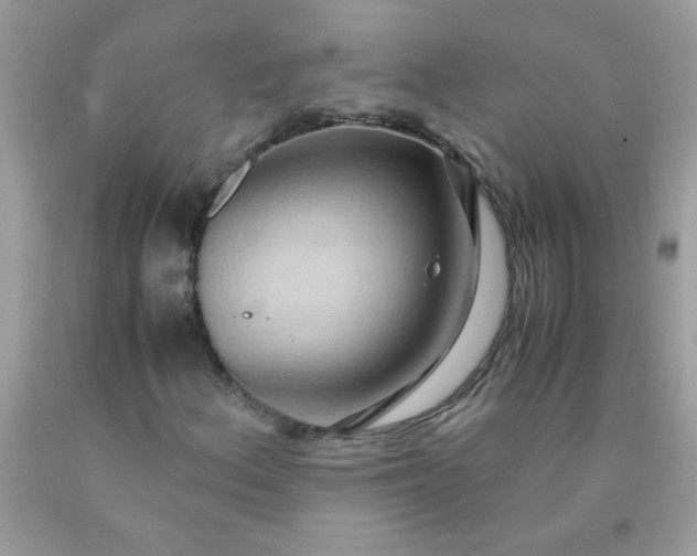 X0000090491156200707272334
