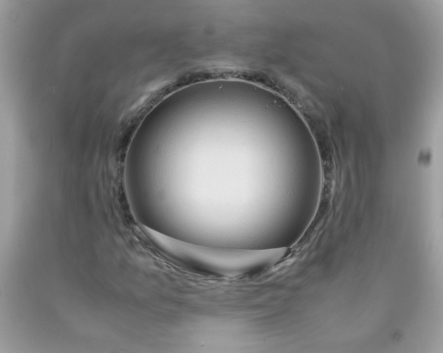 X0000090491157200707272334