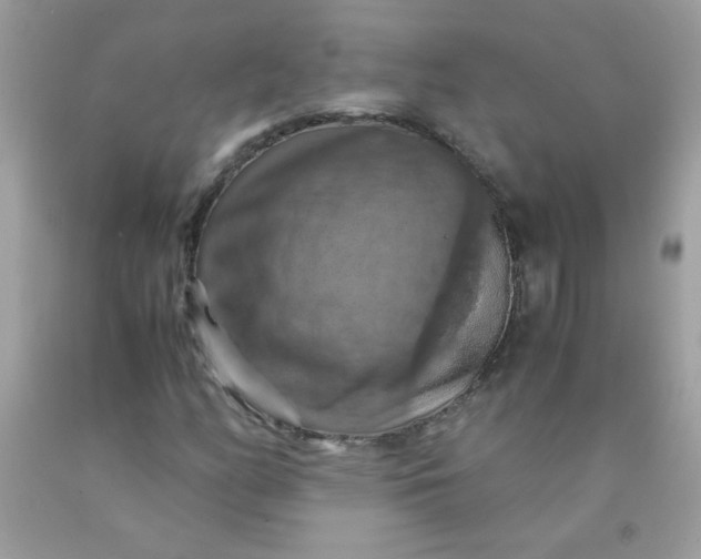 X0000090491158200707272334