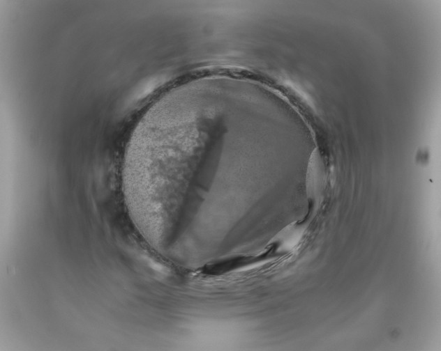 X0000090491159200707272334