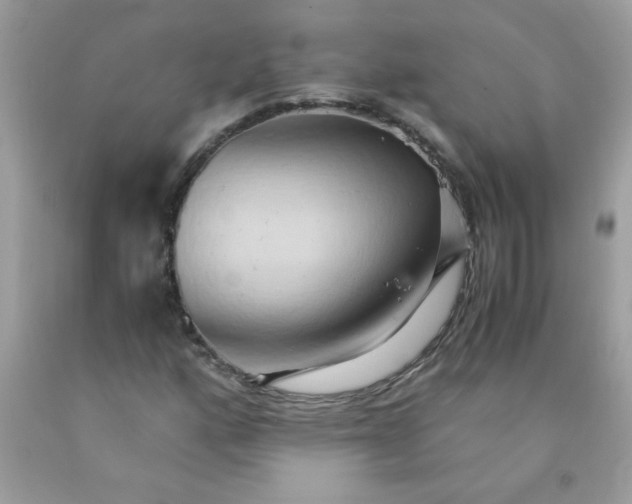 X0000090491160200707272334