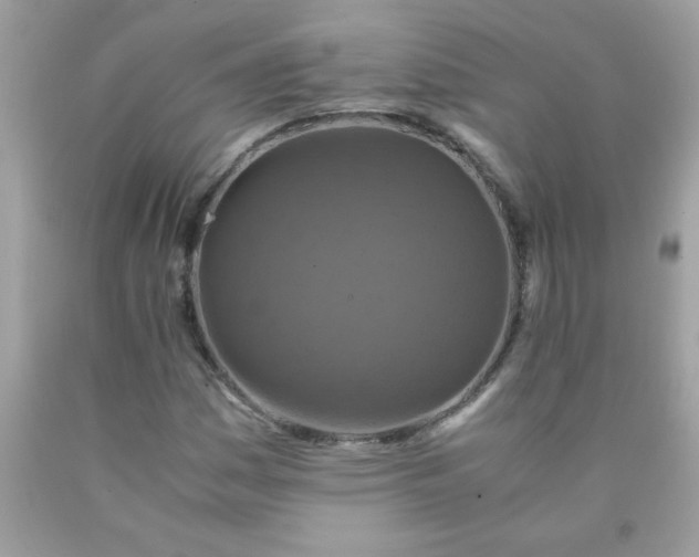 X0000090491161200707272334