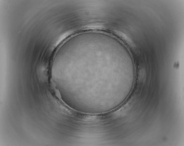 X0000090491162200707272334