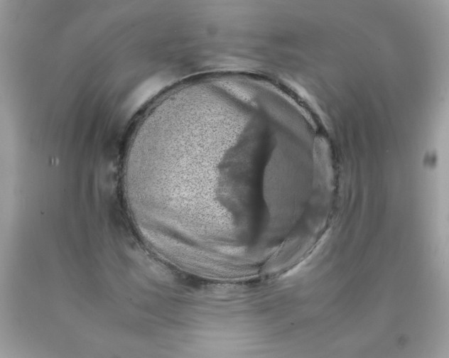 X0000090491163200707272334