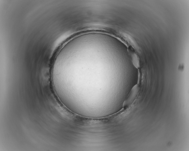 X0000090491164200707272334