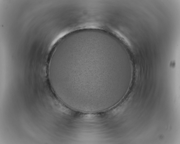 X0000090491166200707272334