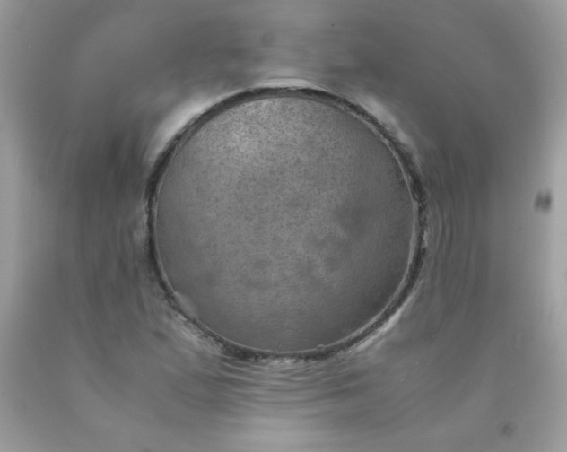X0000090491167200707272334