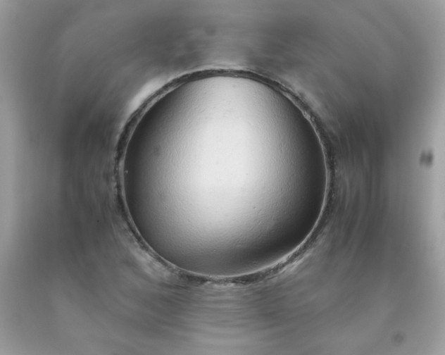 X0000090491168200707272334