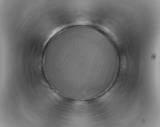 X0000090491170200707272334