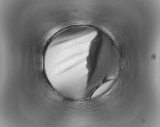 X0000090491171200707272334