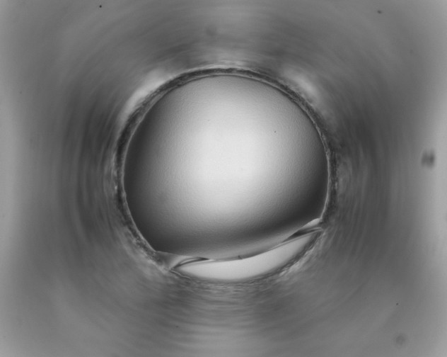 X0000090491172200707272334