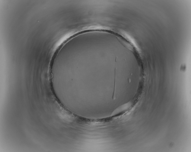 X0000090491173200707272334