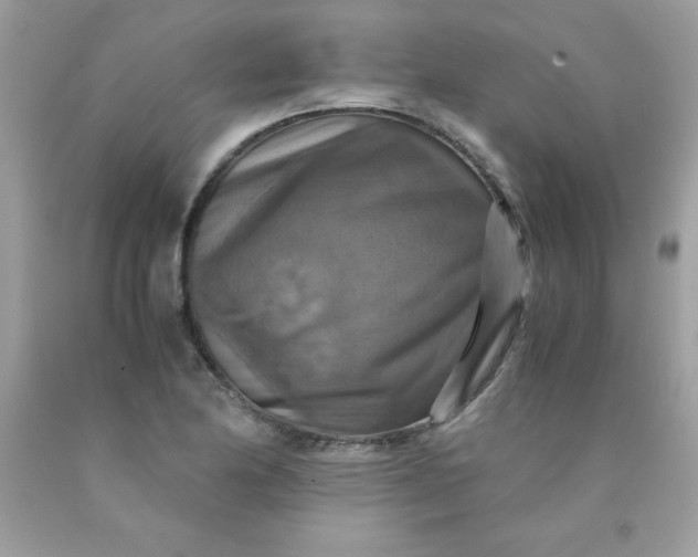 X0000090491174200707272334