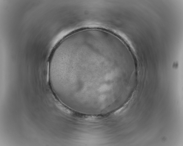 X0000090491175200707272334