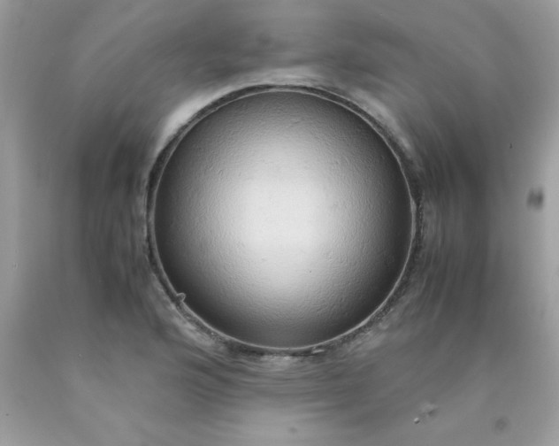 X0000090491176200707272334