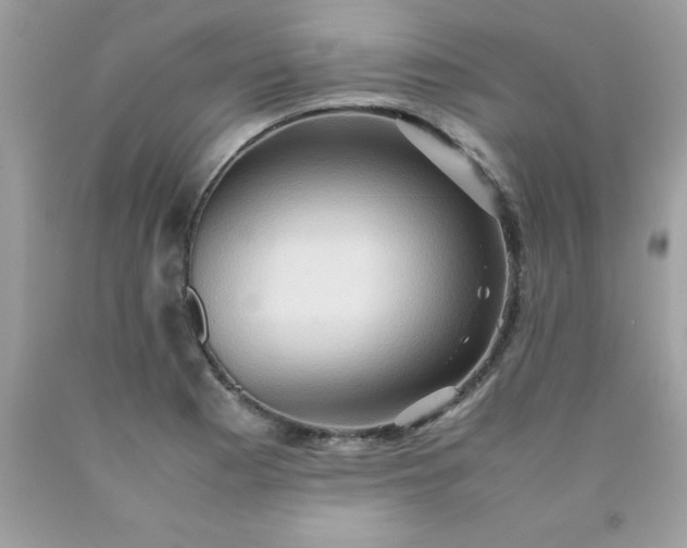 X0000090491177200707272334