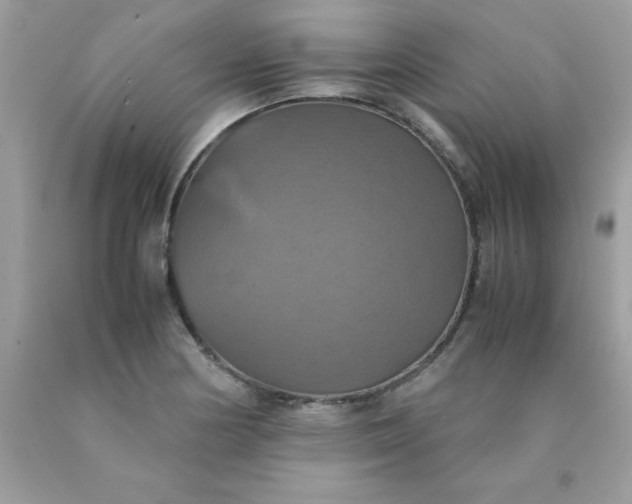 X0000090491178200707272334