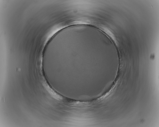 X0000090491179200707272334