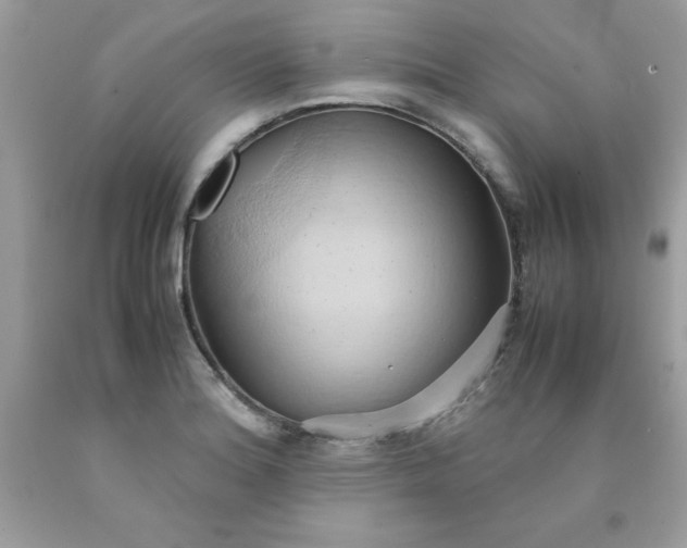 X0000090491180200707272334