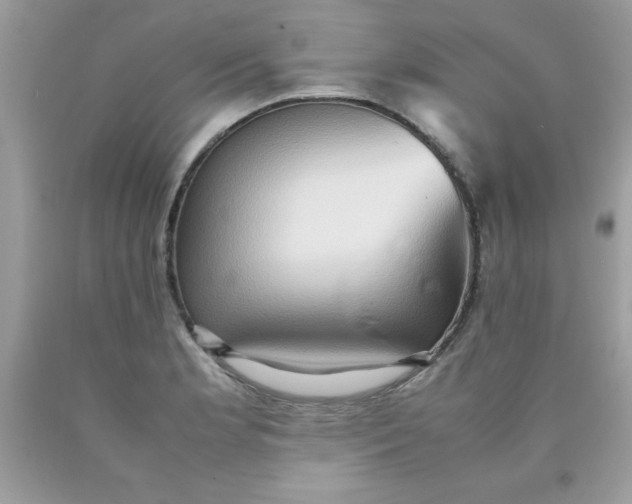 X0000090491181200707272334