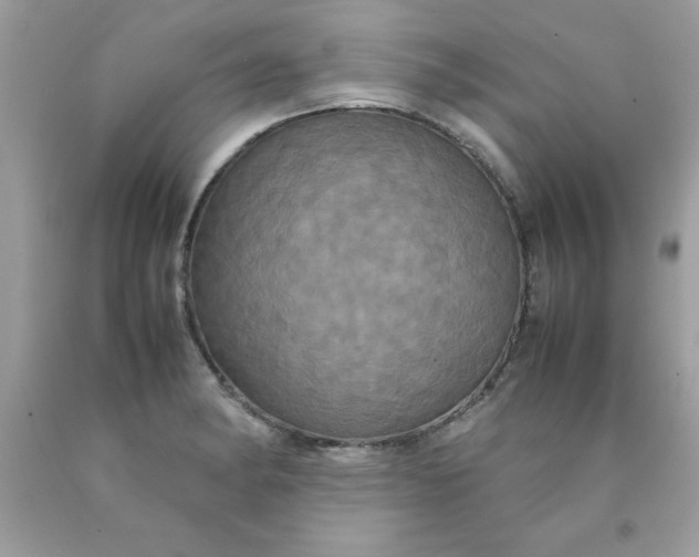 X0000090491182200707272334