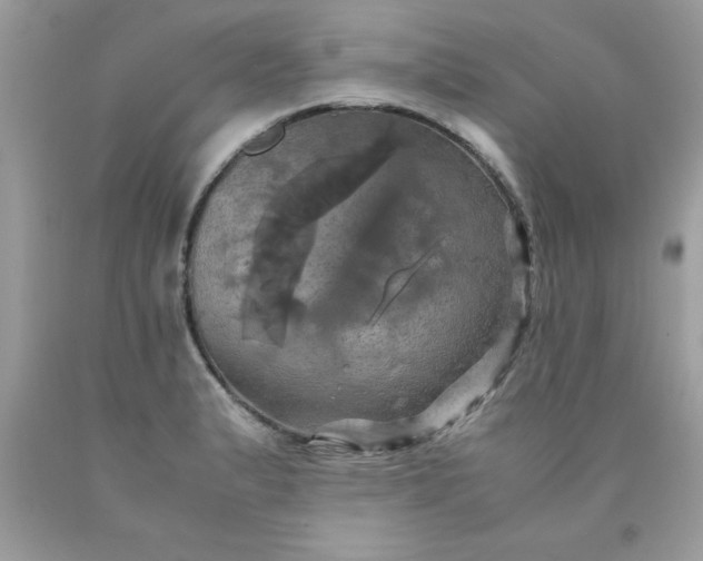 X0000090491183200707272334
