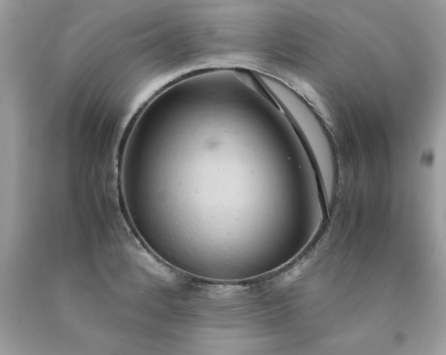 X0000090491184200707272334