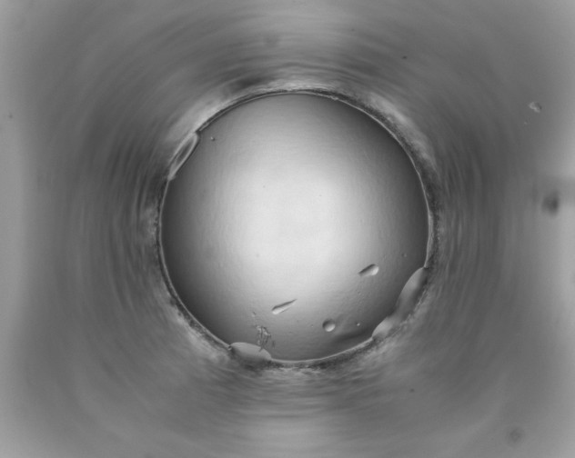 X0000090491185200707272334