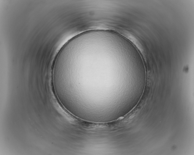 X0000090491187200707272334