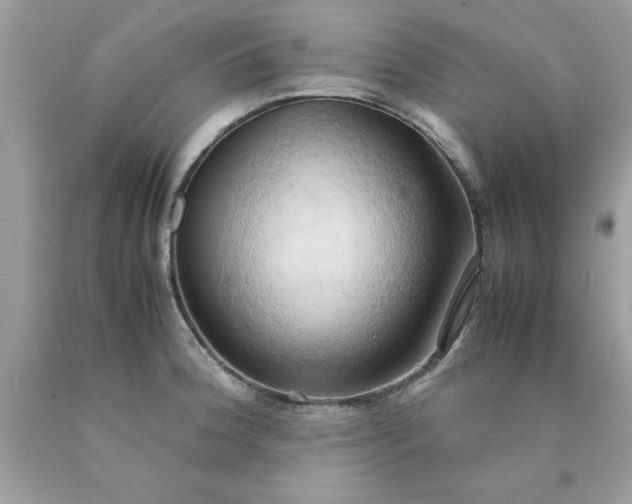 X0000090491188200707272334