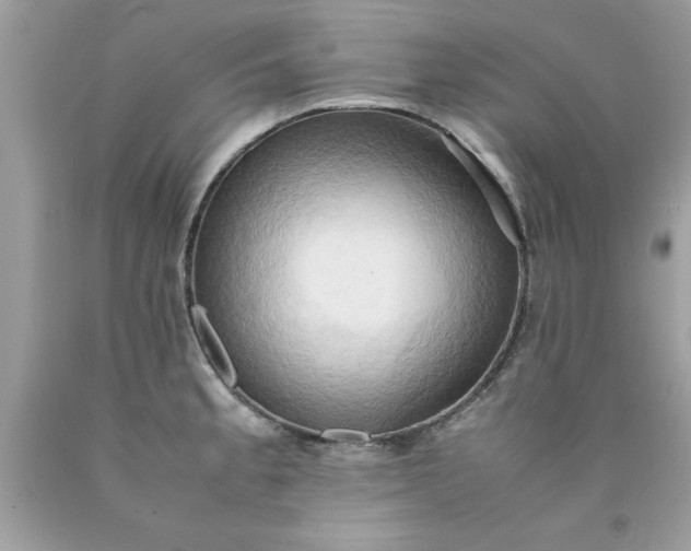 X0000090491189200707272334