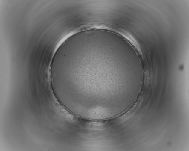 X0000090491190200707272334