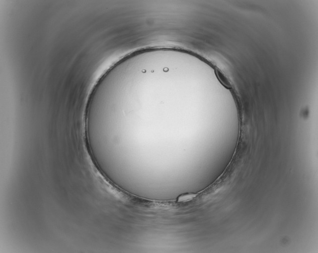 X0000090491191200707272334