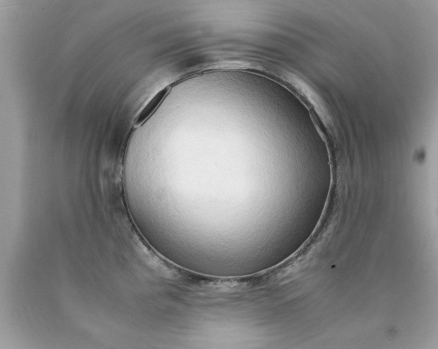 X0000090491193200707272334