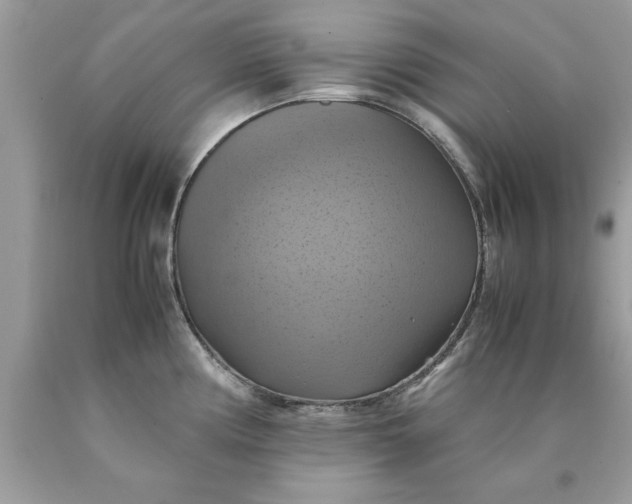 X0000090491194200707272334