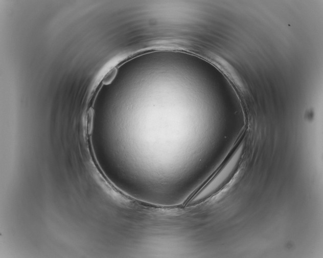 X0000090491196200707272334