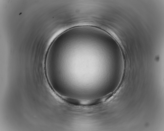 X0000090491197200707272334