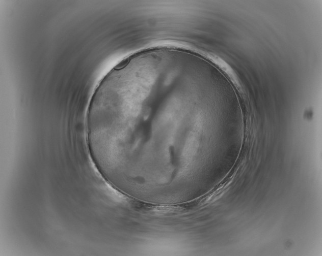 X0000090491199200707272334