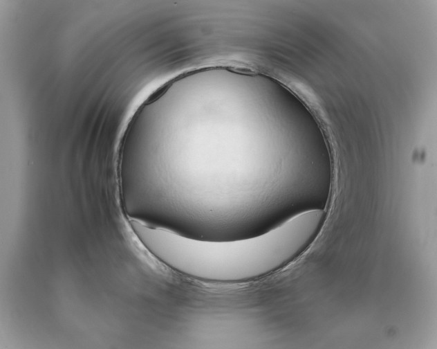 X0000090491200200707272334