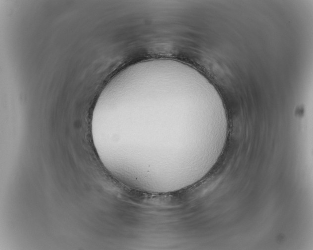 X0000090491201200707272333
