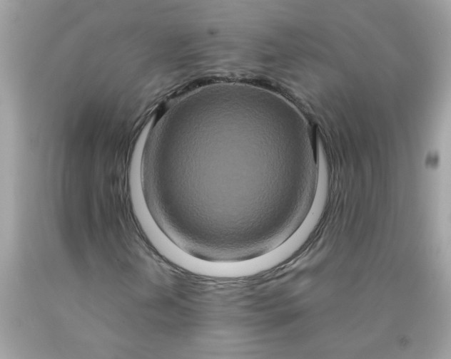 X0000090491202200707272333